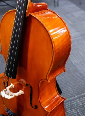 Eastman Strings - VC100 1/4 Cello Outfit 2